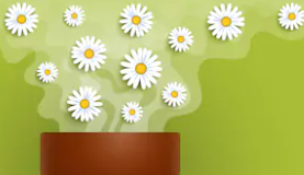 Soothing flavorer Steam