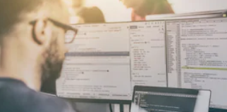 Software development