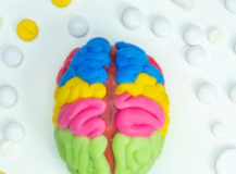 What is a Mental Model?