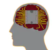 Mental Models Affect the Way that You Are Going to View the World Around You